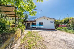 Villetta: gratteri - contrada miserini nel verde