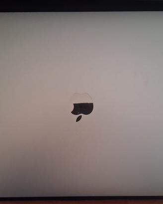 MacBook Pro 16" (2019) - i9 / 16GB RAM / 1TB SSD