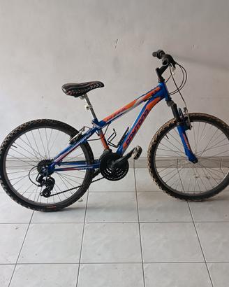 MTB 24 pollici 
