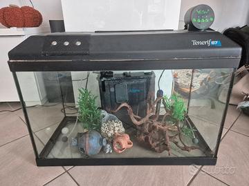 Acquario Askoll Tenerif 67  completo di accessori
