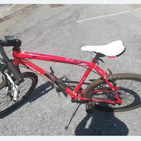bicicletta Mtbike