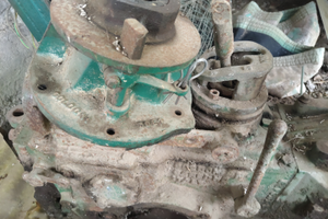 Cambio moto agricola goldoni