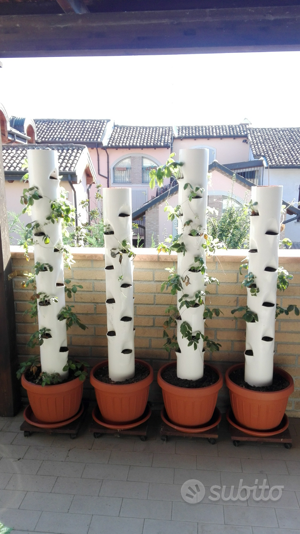 Set 5 Supporti Per Fragole E Piante - Regolabili, Con 4 Gambe, Anti Lumache E Marciume - Foto 4