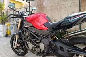 MV brutale 750 iscriz. storica