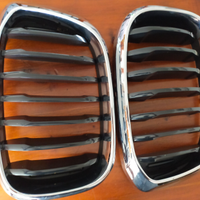 Griglia radiatore BMW X4