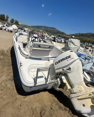 Barca Ranieri con motore Envirude 75cv - pronta -