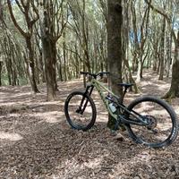 canyon spectral 29 CF 7 tg L