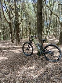 canyon spectral 29 CF 7 tg L