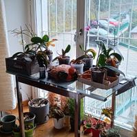 Tavolo Vetro e alluminio Allungabile IKEA