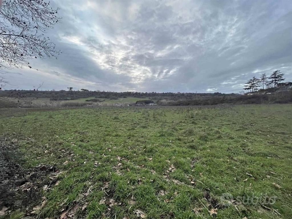 Terreno di 13000 m² a Tuscania - Vista 5