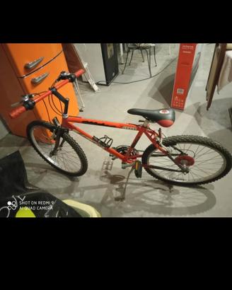 bicicletta da ragazzo Milan