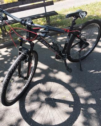 MTB Torpado 29