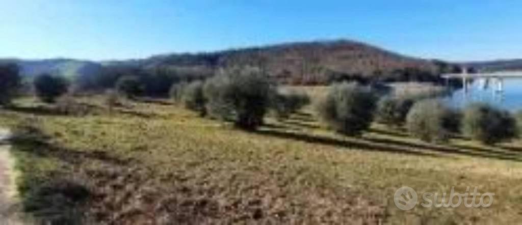 Immobile in asta di 37170 m² a Baschi - Vista 4