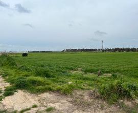 Vendita terreno agricolo