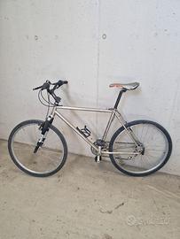 Bicicletta mountain bike