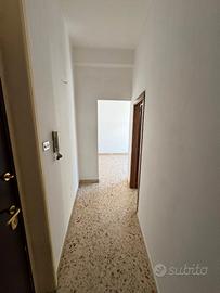 Appartamento luminosissimo