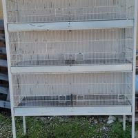 batteria per uccelli 