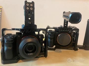 Sony A7 3 +  Sony A7S 2 + 35mmZeiss