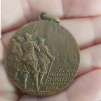 Medaglia adunata Alpini