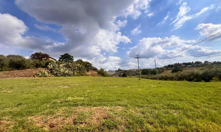 TER. AGRICOLO A VELLETRI