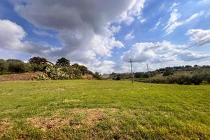 TER. AGRICOLO A VELLETRI