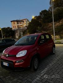  Fiat Panda 1.0 FireFly Hybrid S&S 69 CV
