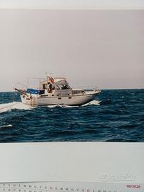 Trawler semidislocante