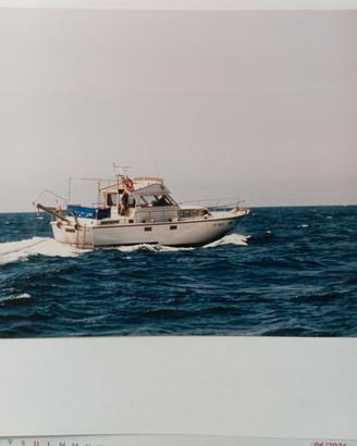 Trawler semidislocante