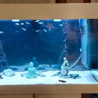 acquario dubai 80 con mobile