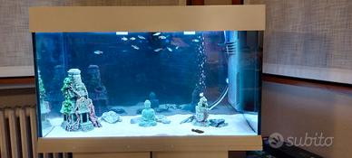 acquario dubai 80 con mobile