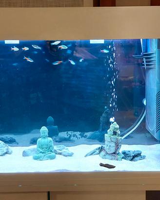 acquario dubai 80 con mobile