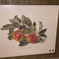 Quadro con frutta