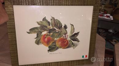 Quadro con frutta