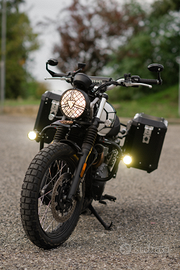 Triumph Street Scrambler 900