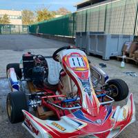 Kart 125, telaio Birel motore Rotax