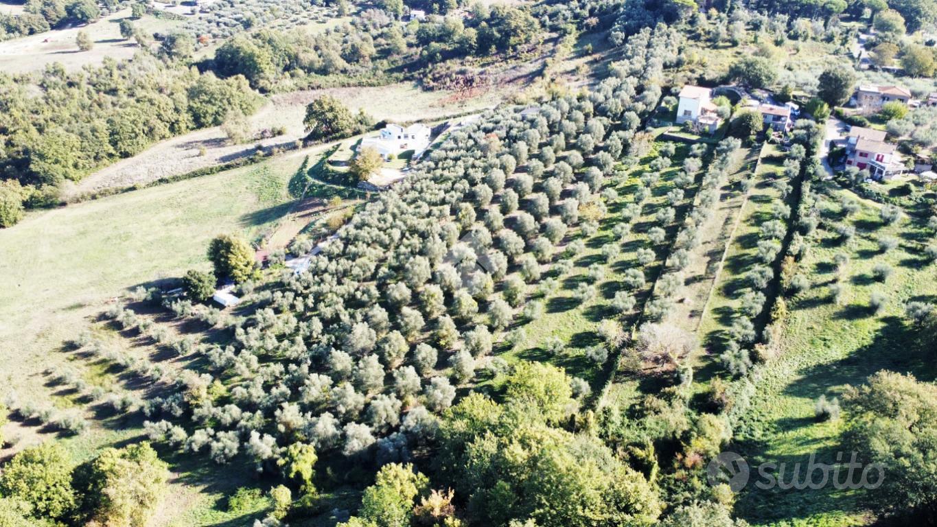 TER. AGRICOLO A FIANO ROMANO - Vista 4