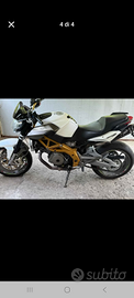 Aprilia schiver 750
