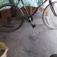 bici  Mountain Bike uomo