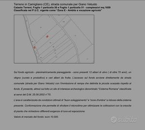 Terreno agricolo con Cisterna Romana