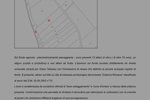 Terreno agricolo con Cisterna Romana