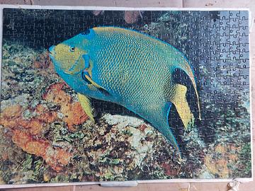 Puzzle pesce marino tropicale e coralli