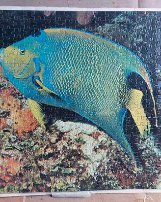 Puzzle pesce marino tropicale e coralli