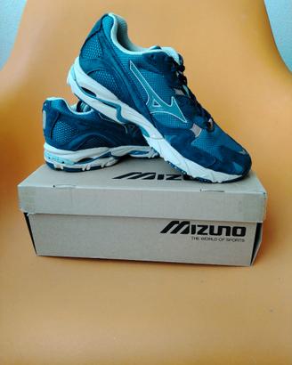 Scarpe sportive da uomo Mizuno Wave Rider 10 n. 41