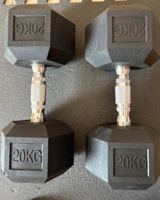 COPPIA MANUBRI ESAGONALI GOMMATI 20 KG+20 KG