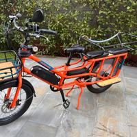 Bici cargo elettrica family bike