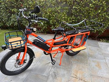 Bici cargo elettrica family bike