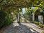 Immagine 7