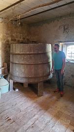 Botte grande da vendemmia