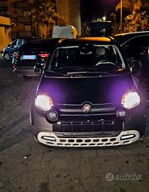 Pandina