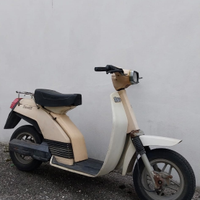 Benelli s50